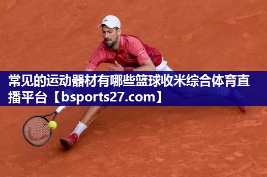 常见的运动器材有哪些篮球收米综合体育直播平台
