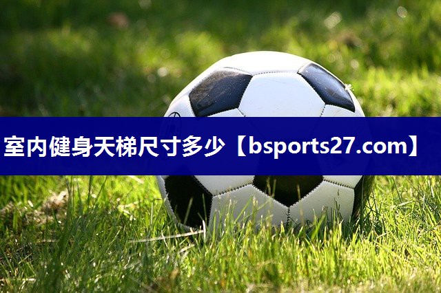 室内健身天梯尺寸多少