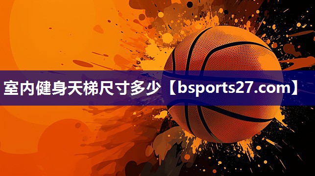 室内健身天梯尺寸多少