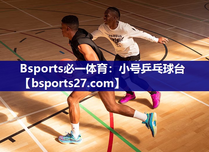 小号乒乓球台