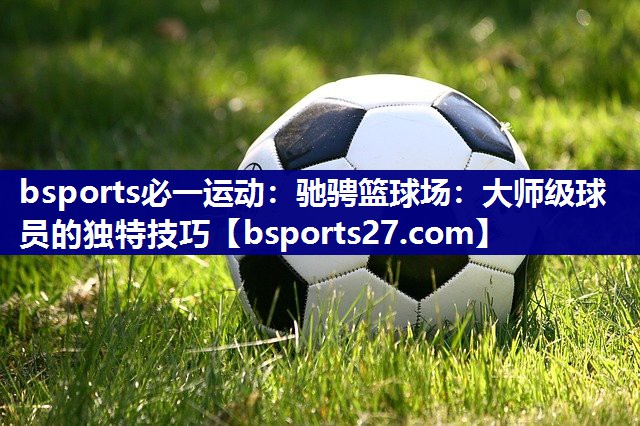 驰骋篮球场：大师级球员的独特技巧