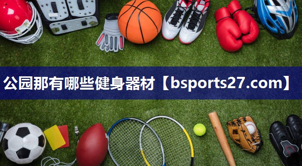 公园那有哪些健身器材