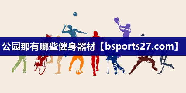 公园那有哪些健身器材