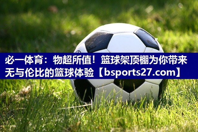 物超所值！篮球架顶棚为你带来无与伦比的篮球体验